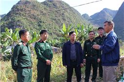 Triển khai phương án xây dựng tái định cư tại huyện Bảo Lạc